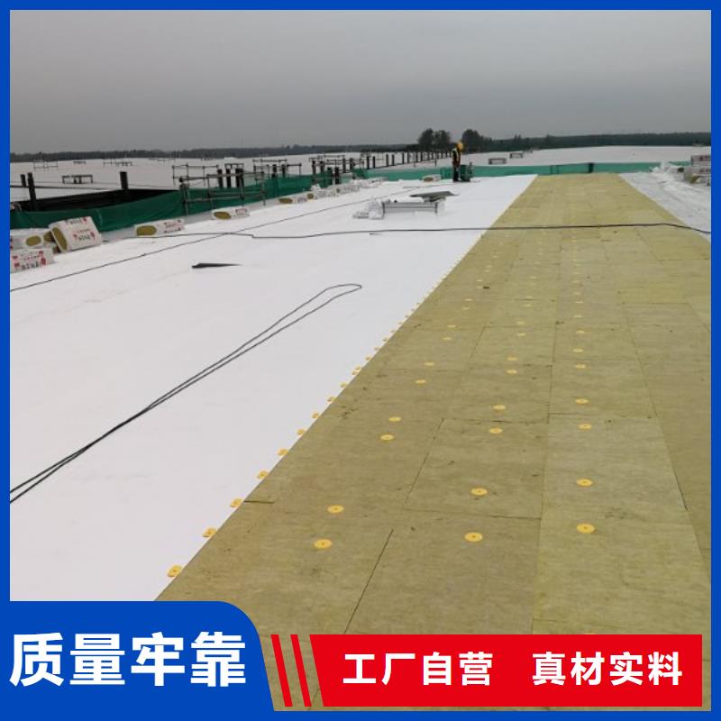 TPOTPO防水卷材出厂价