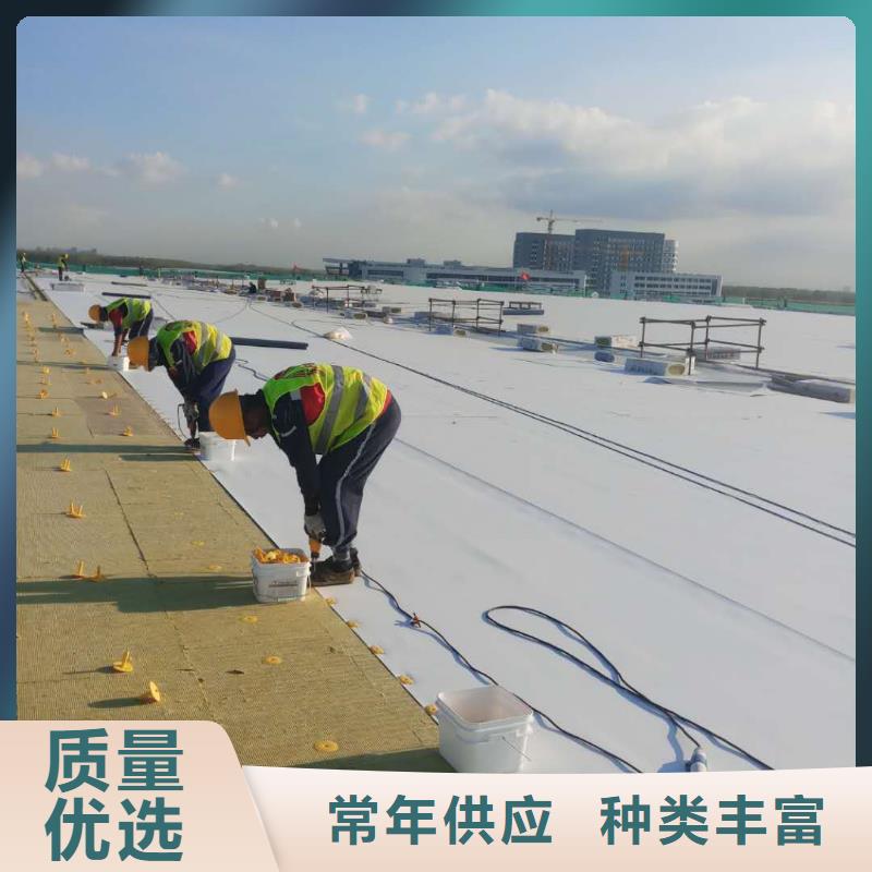 TPOPVC防水卷材厂家实力大