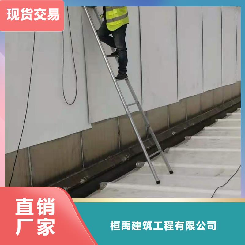 PVCPVC防水卷材施工隊(duì)品質(zhì)值得信賴