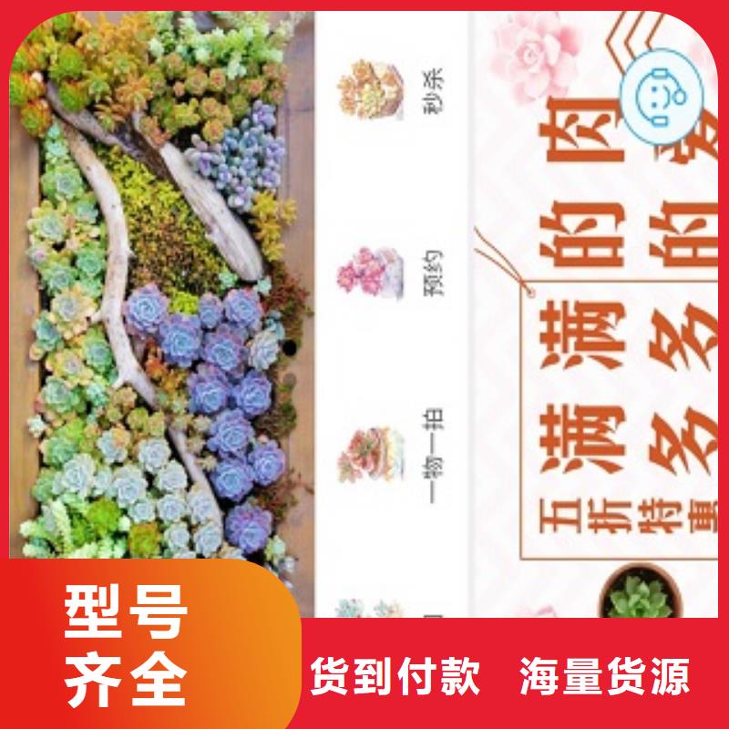 小程序制作_開發(fā)小程序廠家直發(fā)