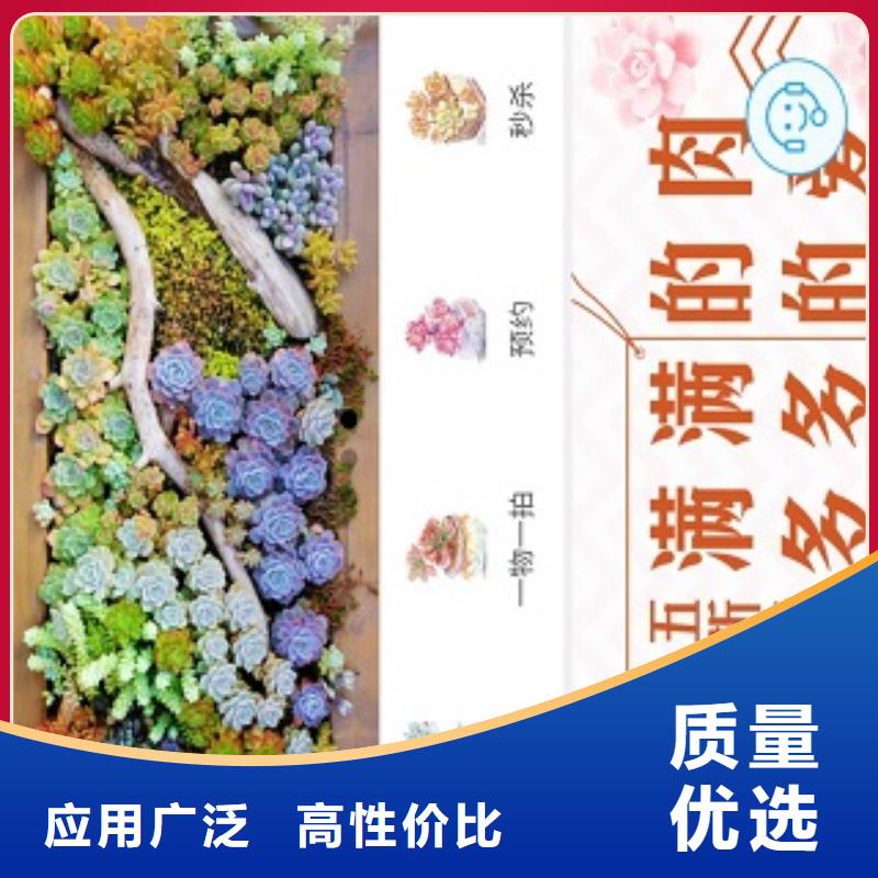 【小程序制作】一站式小程序供應(yīng)高性價(jià)比