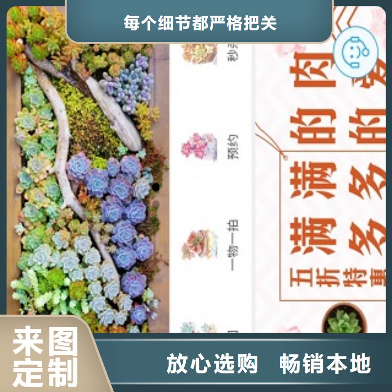 小程序制作工廠直營