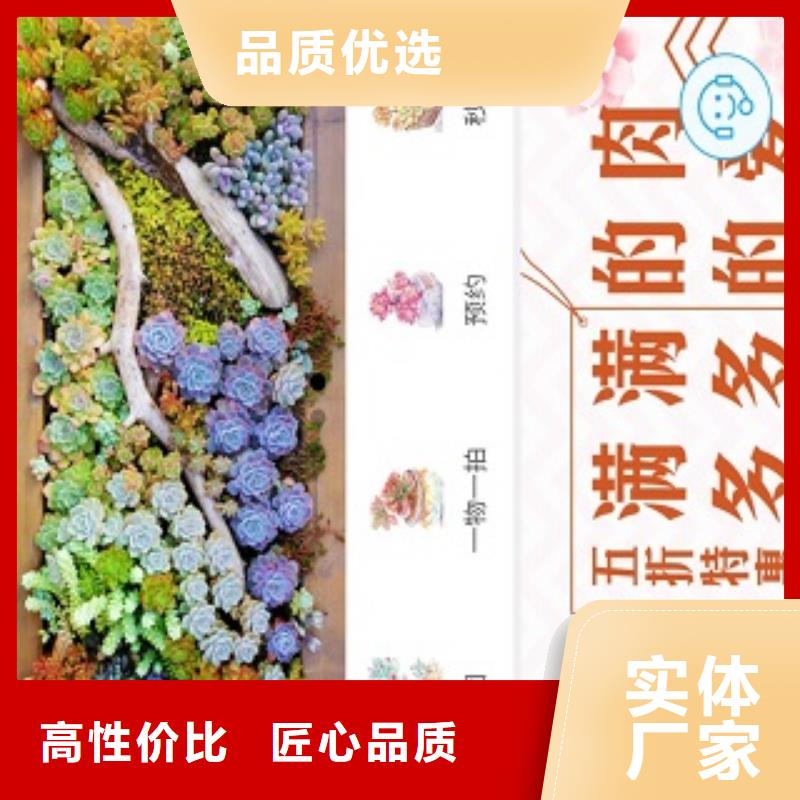 小程序制作開發(fā)小程序值得信賴