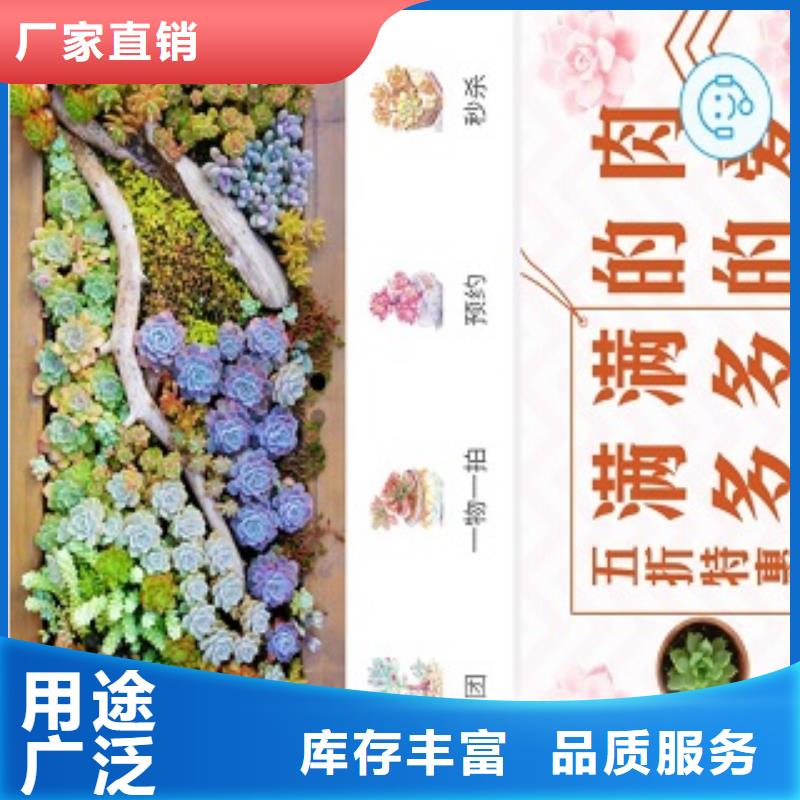 【小程序制作】一站式小程序供應高性價比