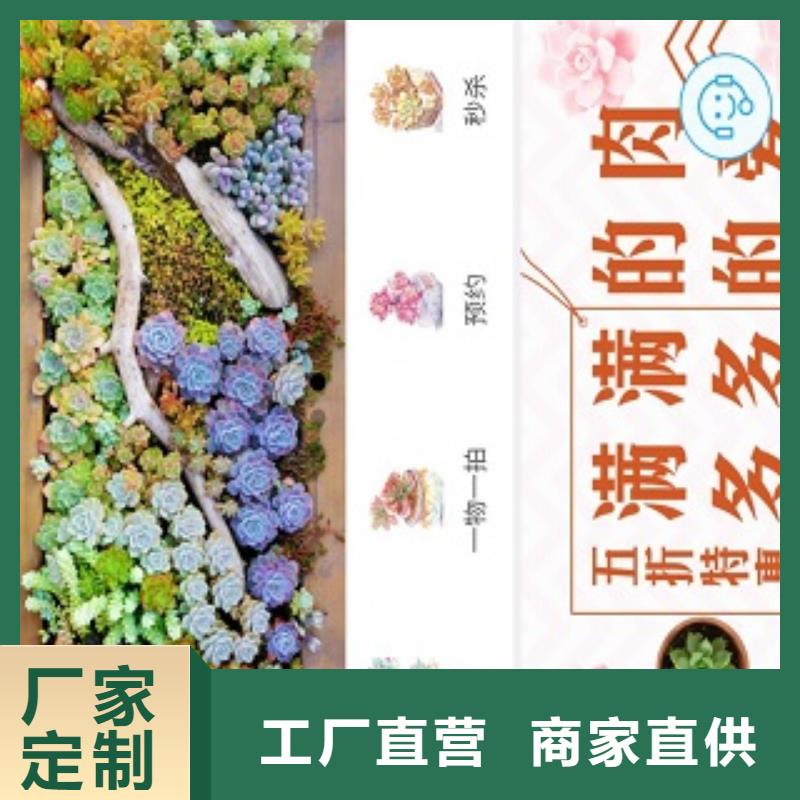 小程序制作_開發(fā)小程序廠家直發(fā)