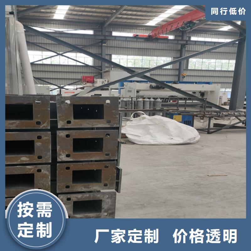 橋梁護(hù)欄-河道護(hù)欄款式新穎