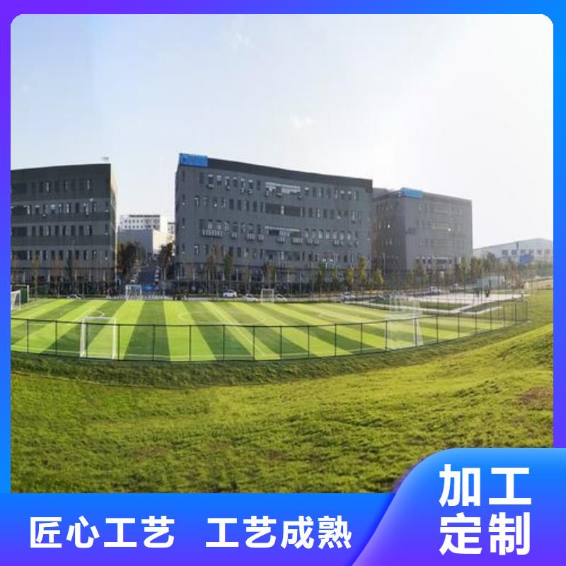 塑膠跑道,人造草坪來圖定制量大從優(yōu)