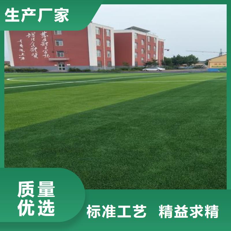 塑胶跑道塑胶跑道施工实地大厂