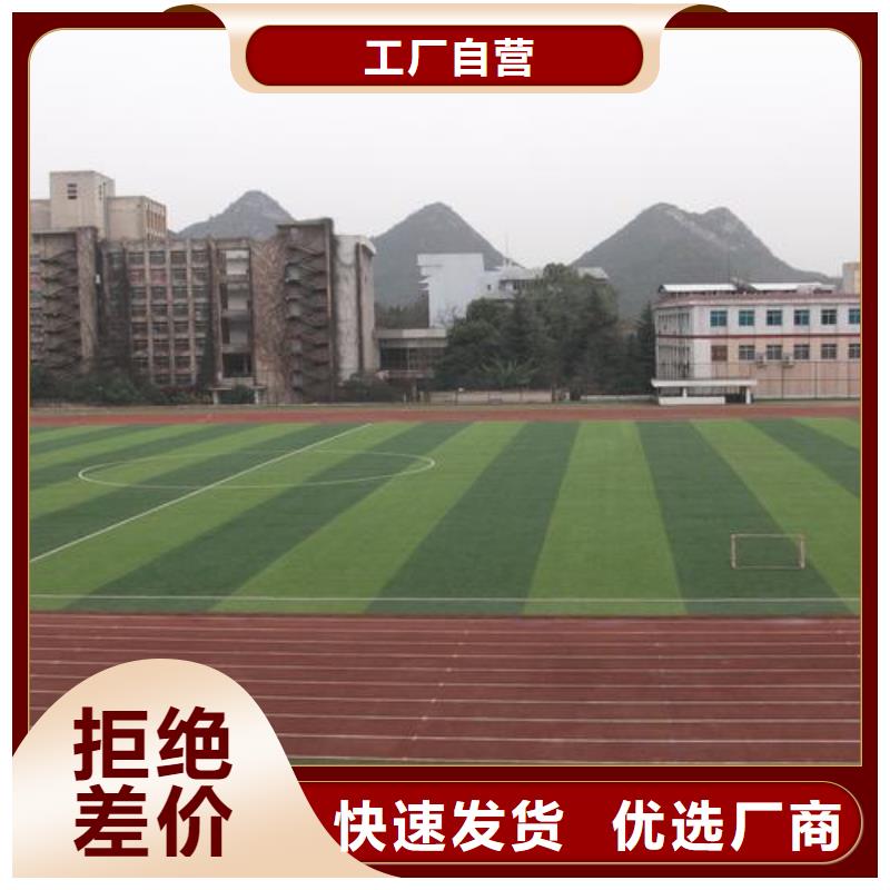 供應(yīng)學(xué)校塑膠跑道PVC地板球場廠家品牌廠家