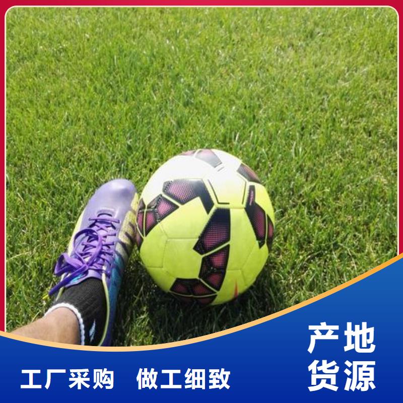 塑膠跑道,PVC地板廠家真正讓利給買家
