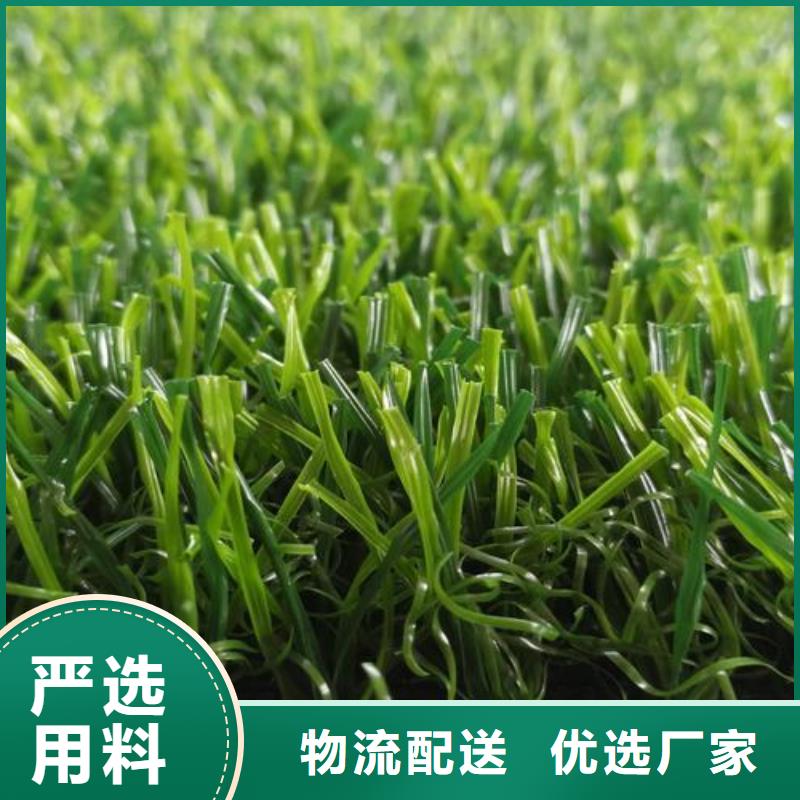 塑膠跑道人造草坪廠家直銷