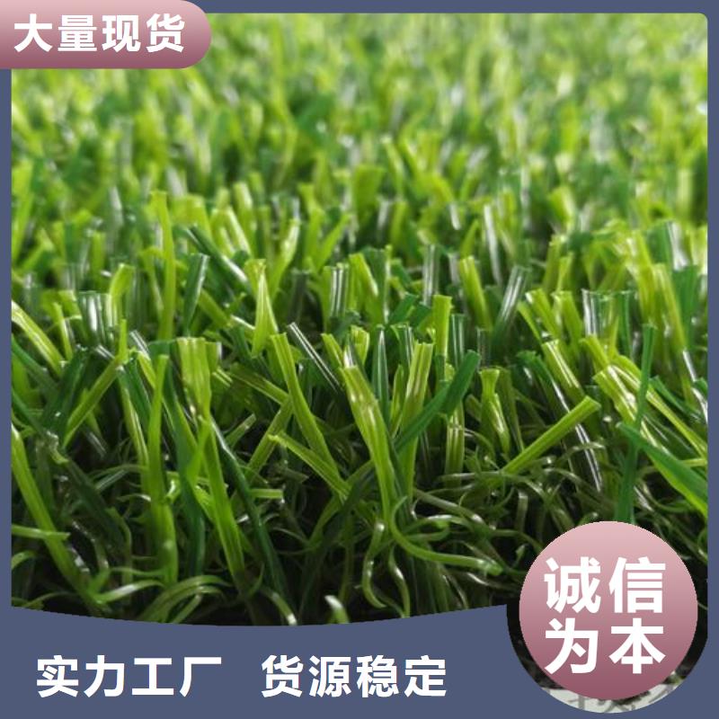 塑膠跑道塑膠跑道廠家供應(yīng)商