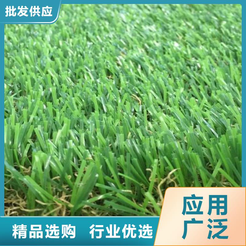 塑胶跑道,幼儿园足球场客户信赖的厂家