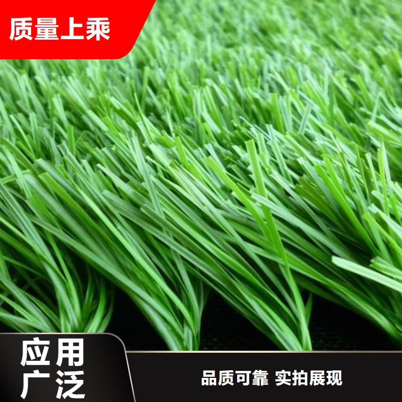 塑胶跑道厂家案例