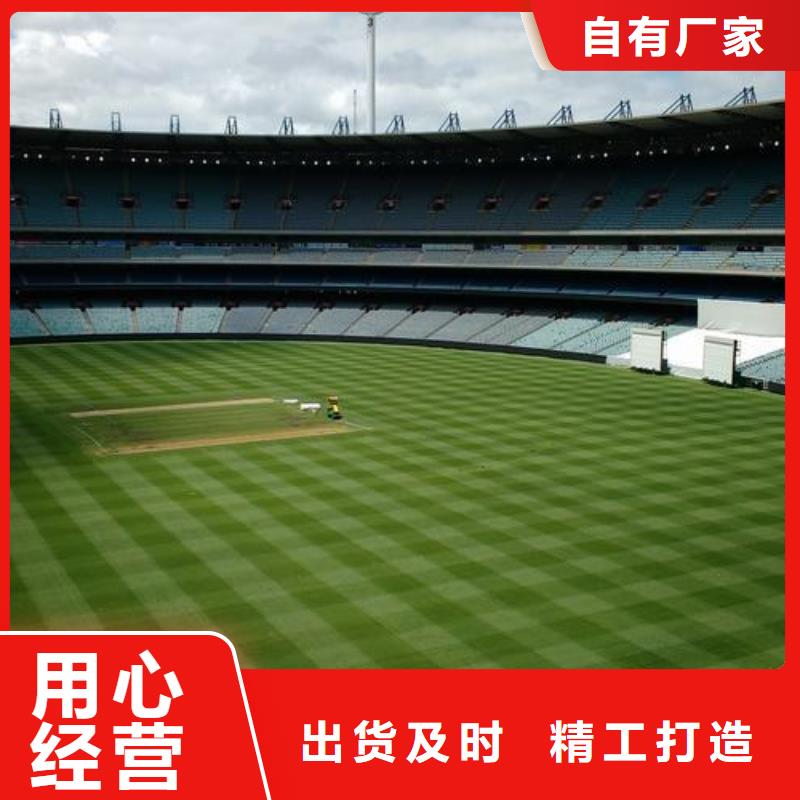 塑胶跑道,校园塑胶跑道您想要的我们都有
