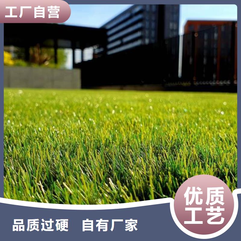 塑膠跑道戶外游樂場跑道大廠生產(chǎn)品質(zhì)