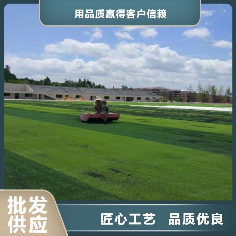 塑膠跑道復(fù)合型塑膠EPDM生產(chǎn)型