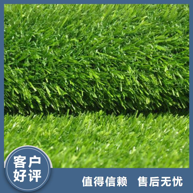 塑膠跑道人造草坪嚴(yán)選好貨