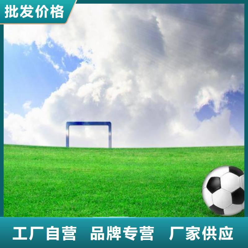 塑膠跑道幼兒園彩色跑道低價(jià)貨源