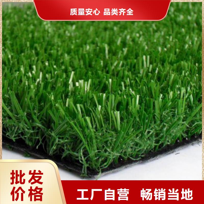 塑膠跑道-公園塑膠跑道價格有優(yōu)勢