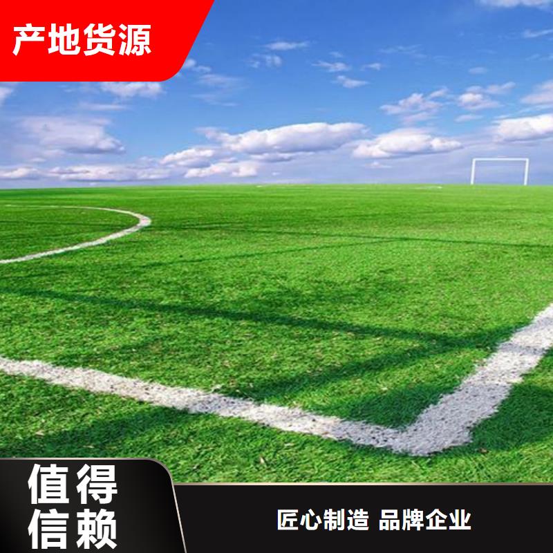 塑膠跑道公園塑膠跑道核心技術(shù)