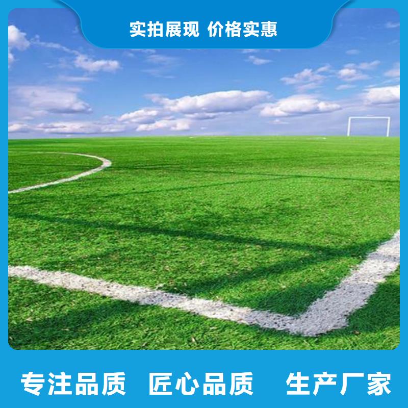 塑胶跑道复合型塑胶EPDM生产型