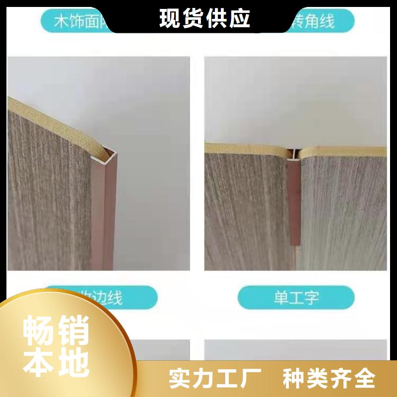 木饰面户外木塑墙板多种工艺