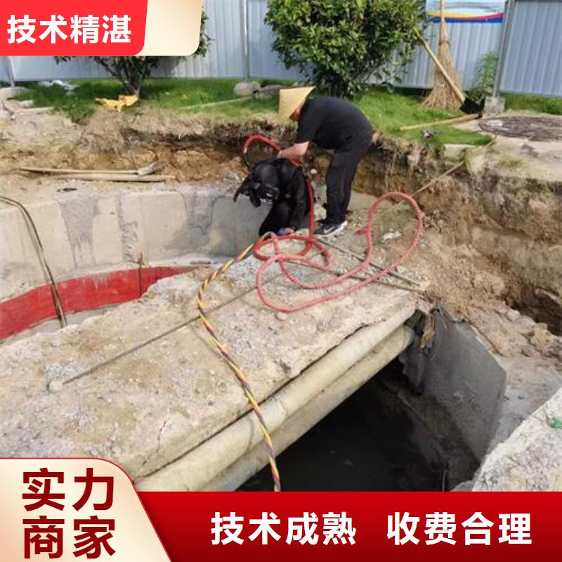 水下作业水下清淤队伍2025公司