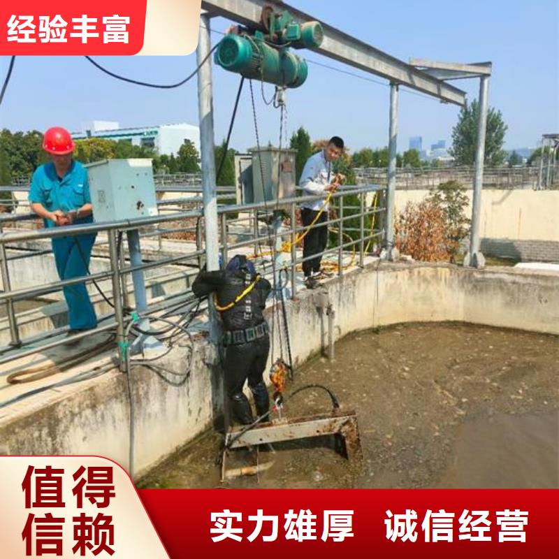水下作業(yè)模袋施工實(shí)力雄厚