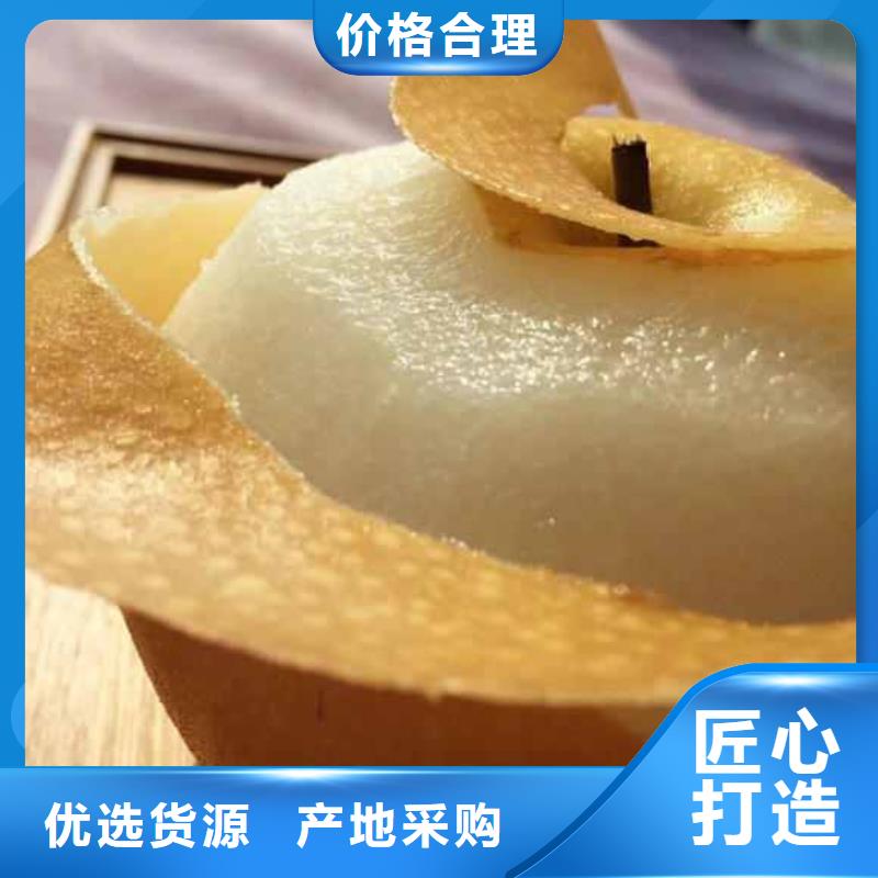 梨-奥红一号梨苗选择大厂家省事省心