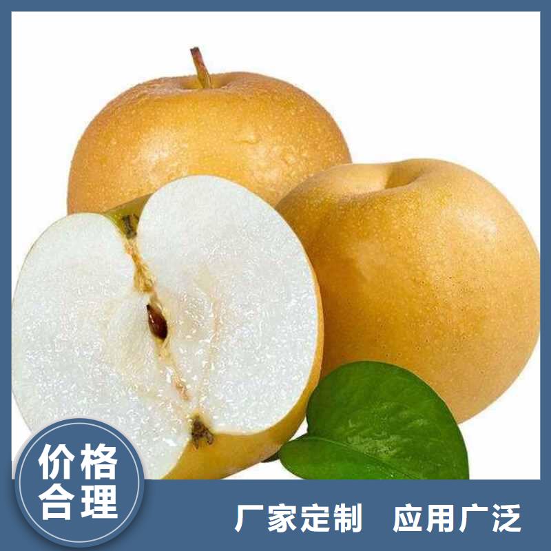 秋月梨種植苗生產(chǎn)基地