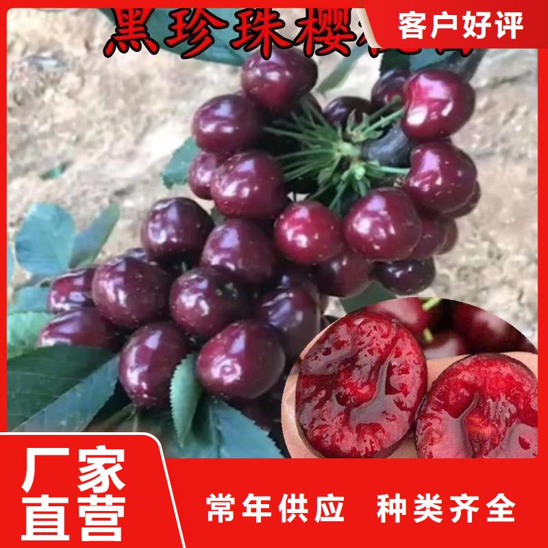 車?yán)遄优l(fā)零售