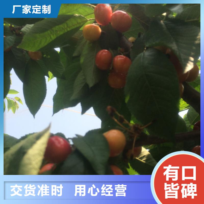 車?yán)遄优l(fā)零售