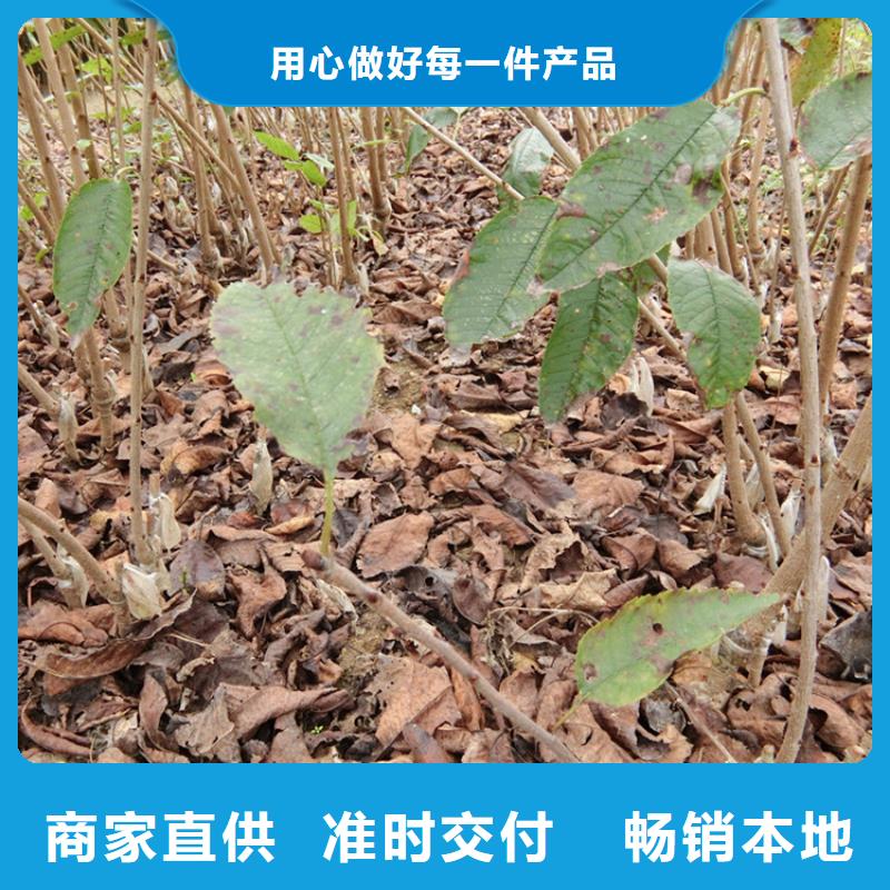 車?yán)遄优l(fā)零售