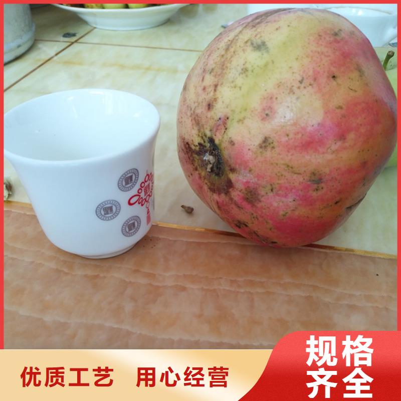 石榴_櫻桃苗精挑細(xì)選好貨