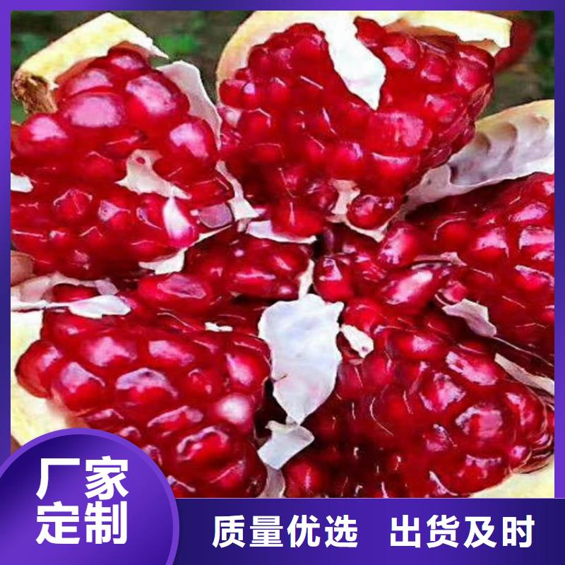 石榴奶油草莓選擇我們沒(méi)錯(cuò)