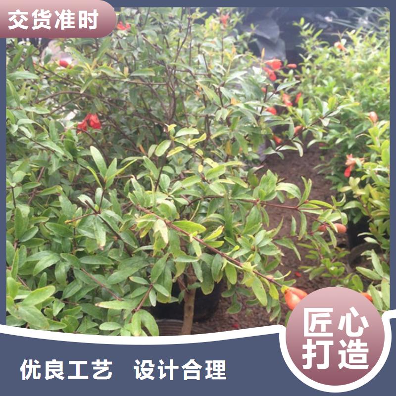 石榴奶油草莓選擇我們沒(méi)錯(cuò)