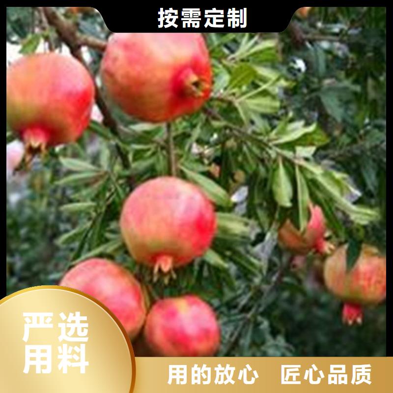石榴奶油草莓選擇我們沒(méi)錯(cuò)