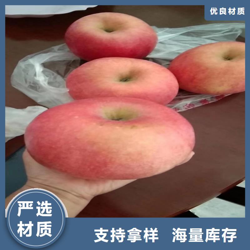 蘋果【獼猴桃苗】貨真價(jià)實(shí)