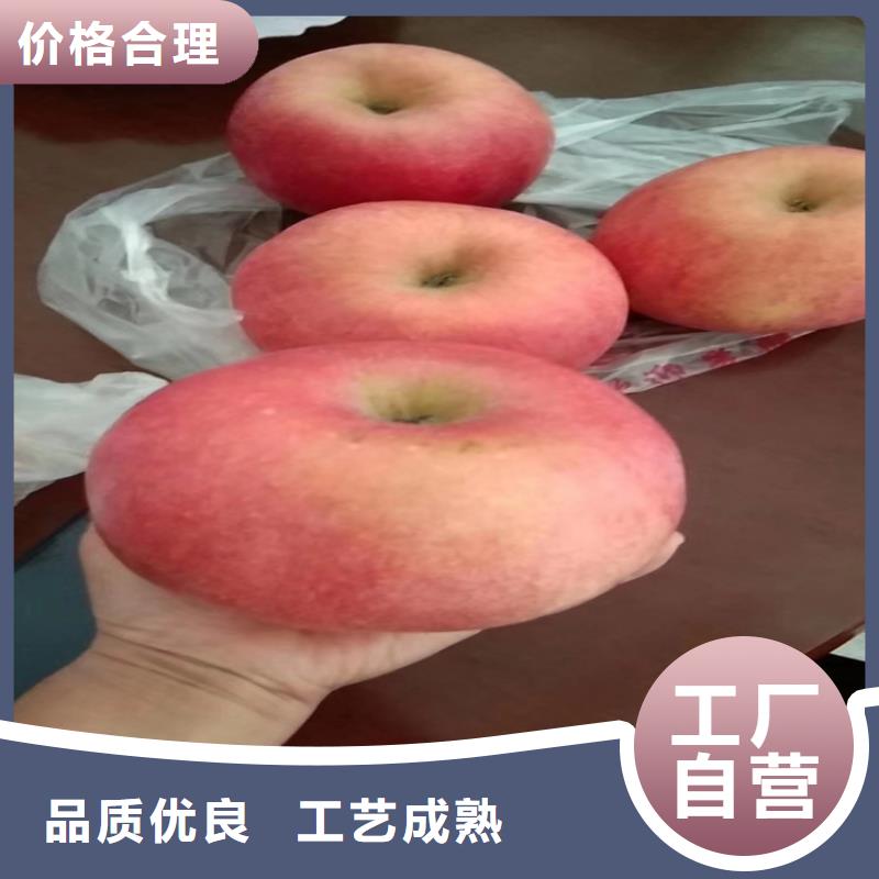 蘋(píng)果蘋(píng)果苗做工細(xì)致