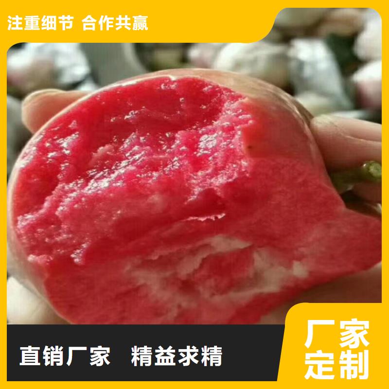 苹果,葡萄苗做工精细