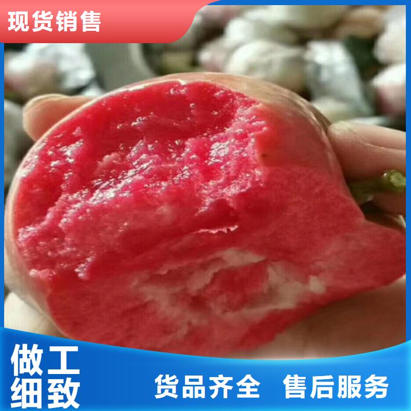 苹果桃树苗卓越品质保障