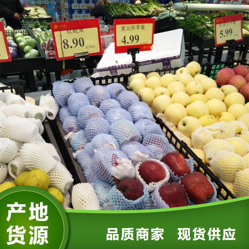 苹果苹果苗做工细致