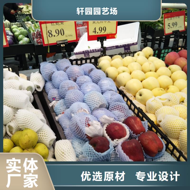 蘋果_石榴樹匠心品質(zhì)