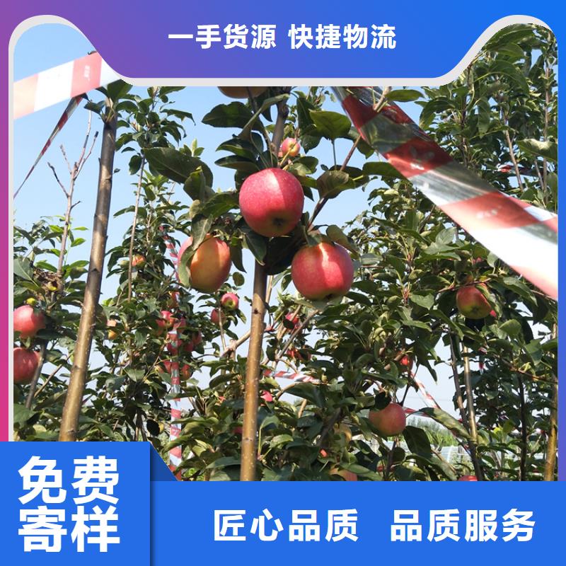 蘋果_石榴樹匠心品質(zhì)