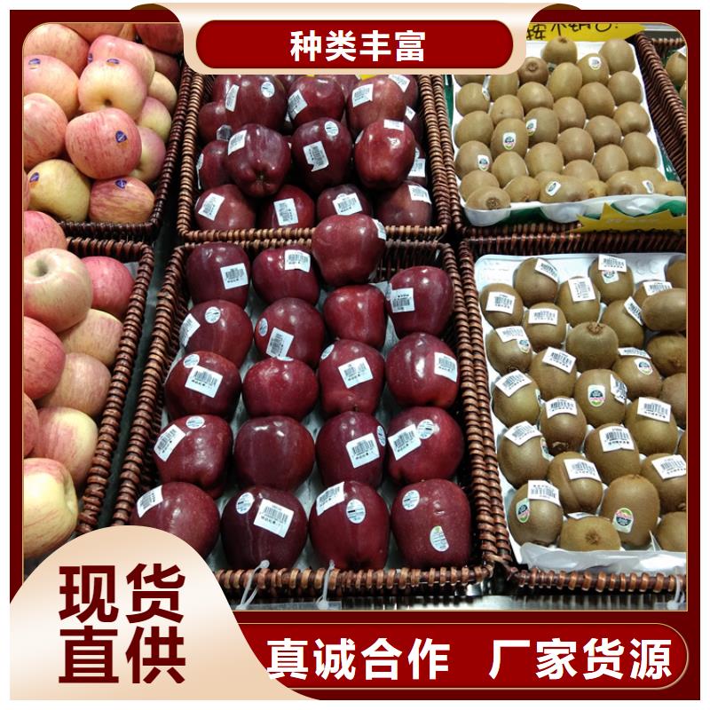 苹果樱桃苗品类齐全
