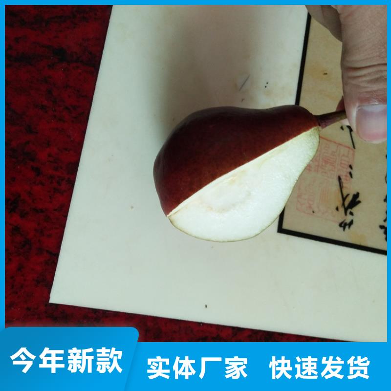 梨树,樱桃苗实力优品