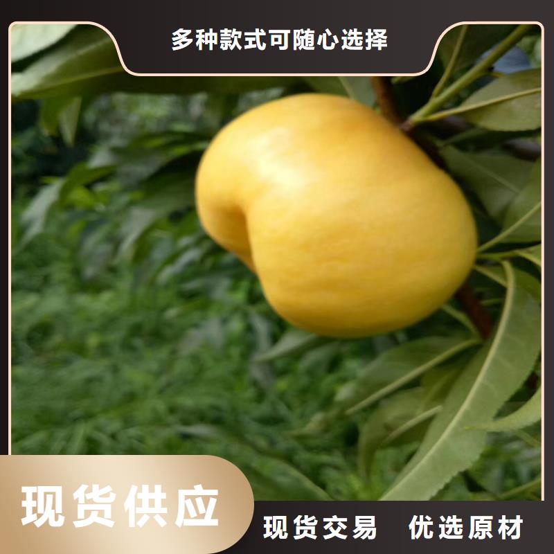 桃_瑪瑙紅石榴苗廠家現(xiàn)貨批發(fā)