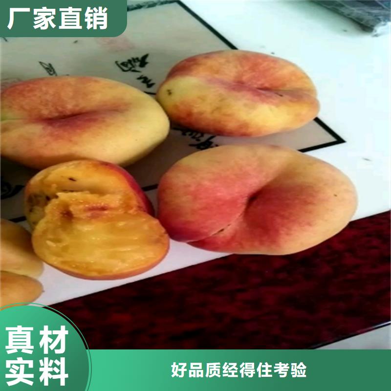 桃_瑪瑙紅石榴苗廠家現貨批發(fā)