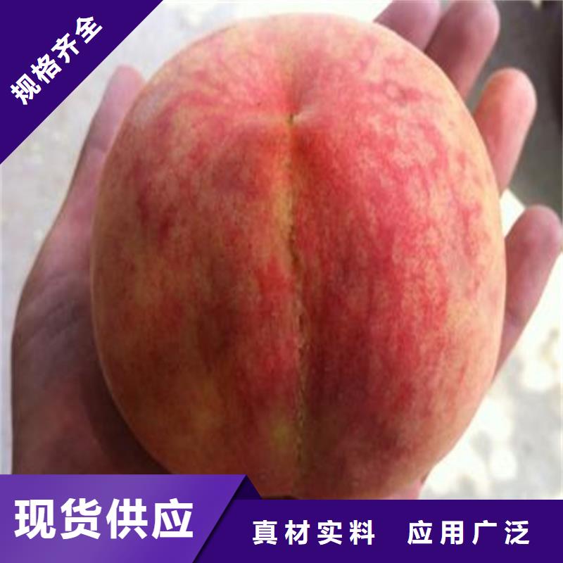桃_瑪瑙紅石榴苗廠家現貨批發(fā)